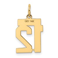 14K Yellow Gold Small Polished Number 12 Charm view 3