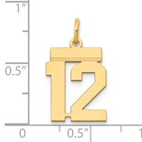 14K Yellow Gold Small Polished Number 12 Charm view 4