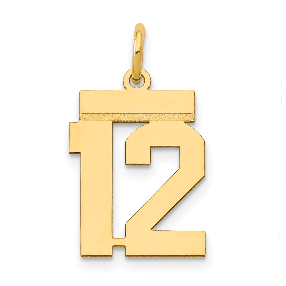 14K Yellow Gold Small Polished Number 12 Charm