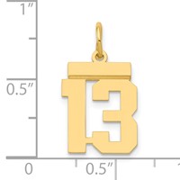 14K Yellow Gold Small Polished Number 13 Charm view 4