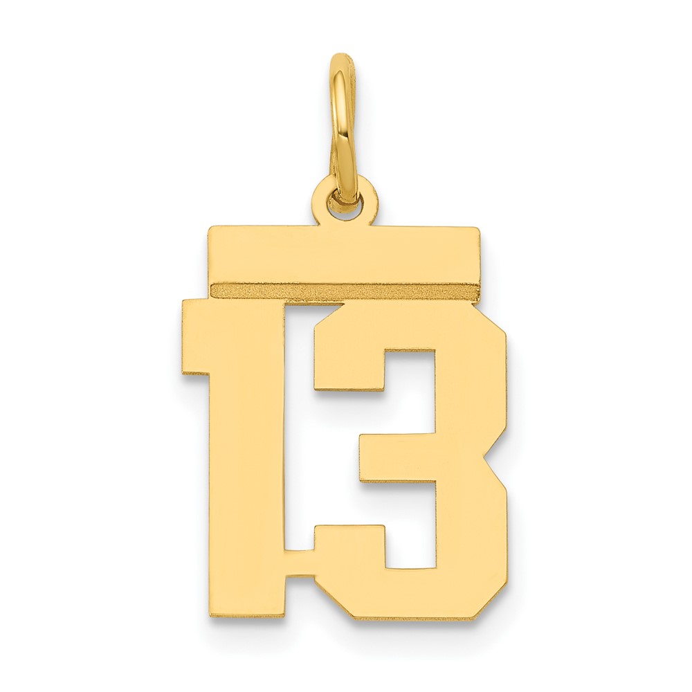 14K Yellow Gold Small Polished Number 13 Charm