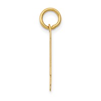 14K Yellow Gold Small Polished Number 14 Charm view 2