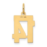 14K Yellow Gold Small Polished Number 14 Charm view 3