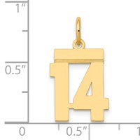 14K Yellow Gold Small Polished Number 14 Charm view 4