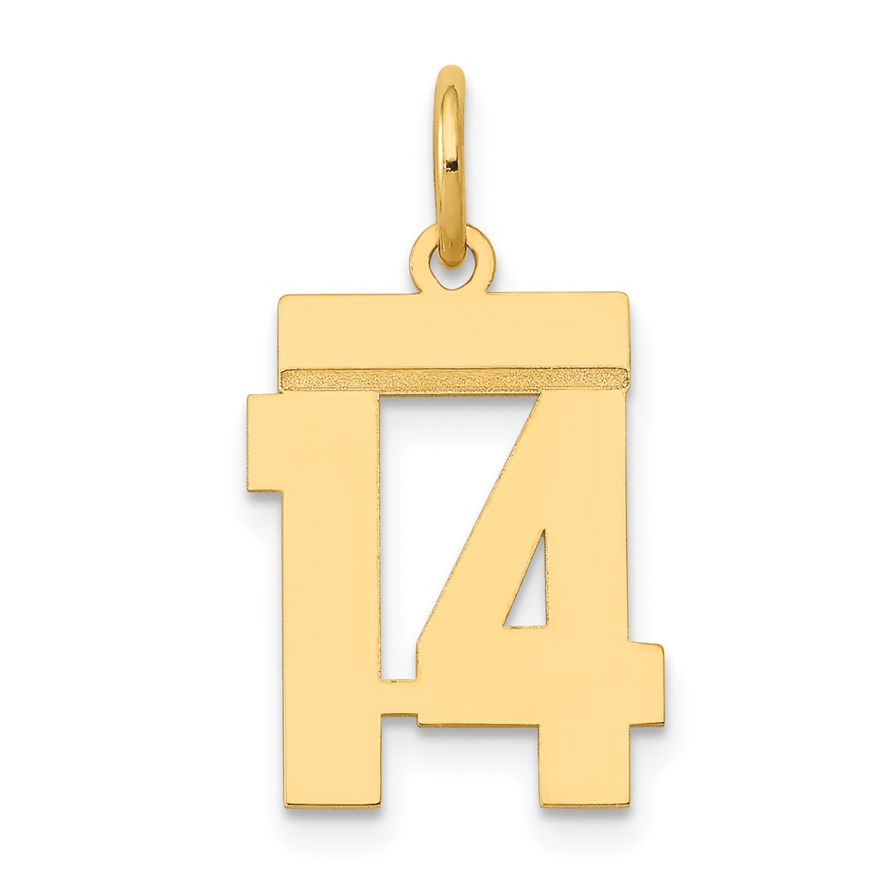 14K Yellow Gold Small Polished Number 14 Charm