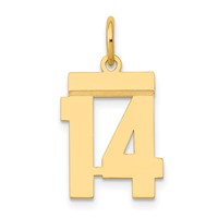 14K Yellow Gold Small Polished Number 14 Charm view 1
