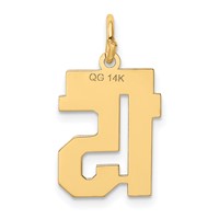 14K Yellow Gold Small Polished Number 15 Charm view 3