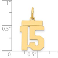14K Yellow Gold Small Polished Number 15 Charm view 4