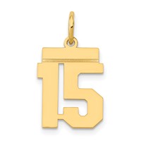 14K Yellow Gold Small Polished Number 15 Charm view 1