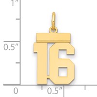 14K Yellow Gold Small Polished Number 16 Charm view 2