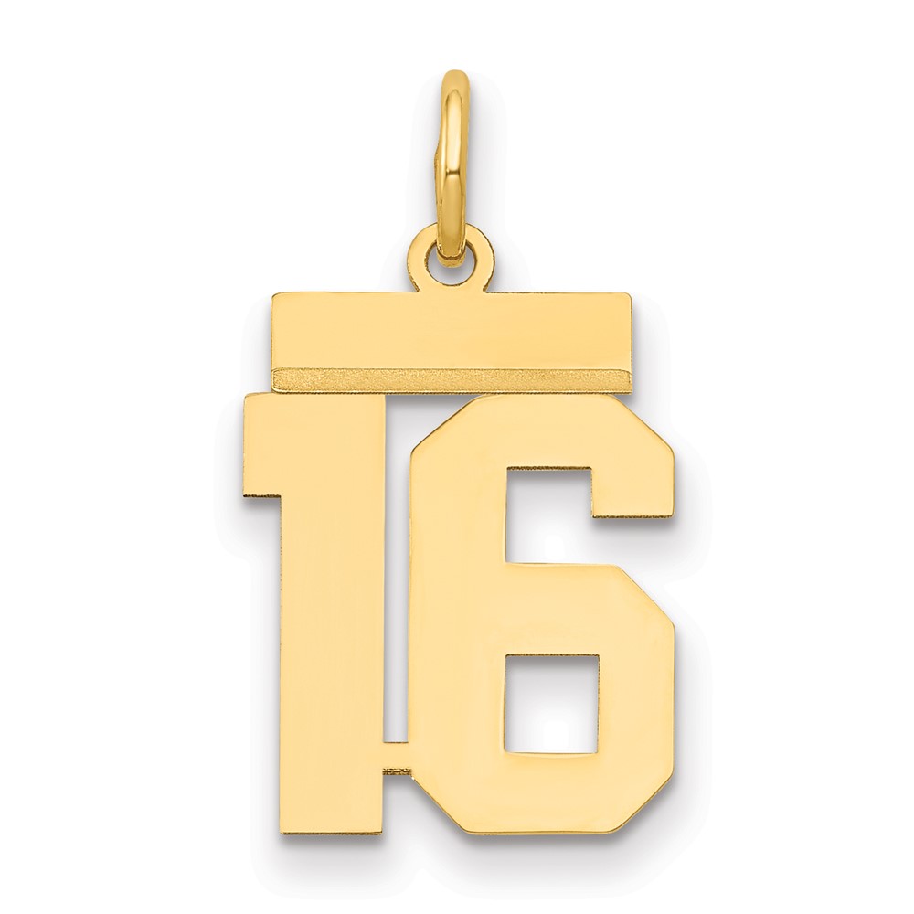 14K Yellow Gold Small Polished Number 16 Charm