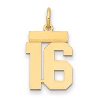 14K Yellow Gold Small Polished Number 16 Charm view 1