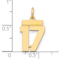 14K Yellow Gold Small Polished Number 17 Charm view 2