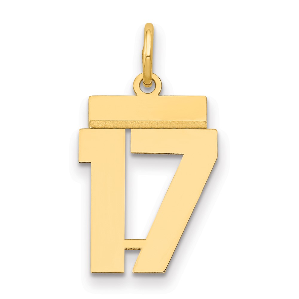 14K Yellow Gold Small Polished Number 17 Charm