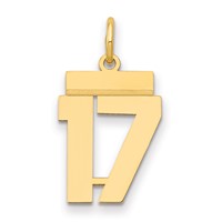 14K Yellow Gold Small Polished Number 17 Charm view 1