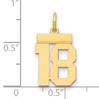 14K Yellow Gold Small Polished Number 18 Charm view 2