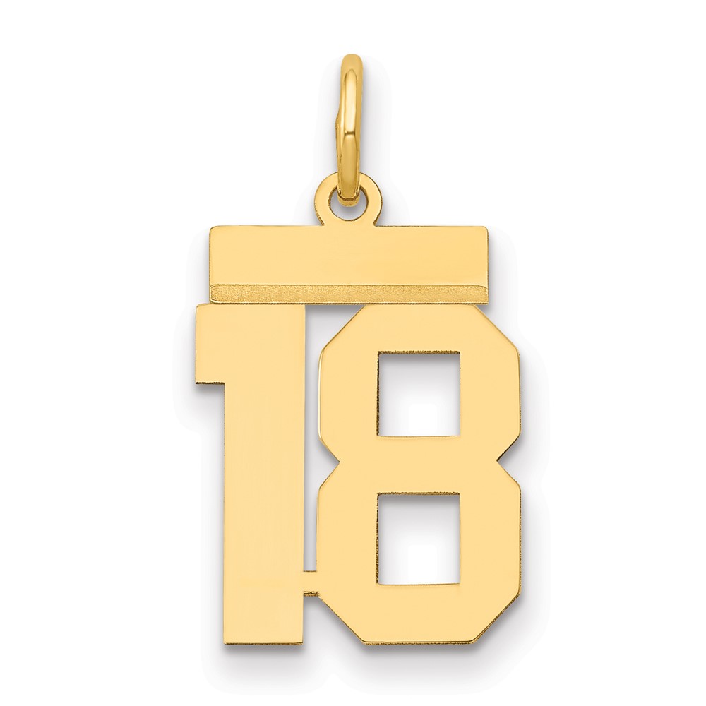 14K Yellow Gold Small Polished Number 18 Charm