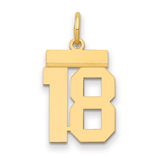 14K Yellow Gold Small Polished Number 18 Charm