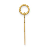 14K Yellow Gold Small Polished Number 19 Charm view 2