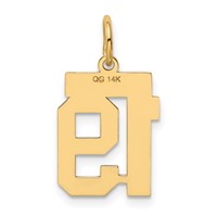 14K Yellow Gold Small Polished Number 19 Charm view 3