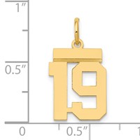 14K Yellow Gold Small Polished Number 19 Charm view 4