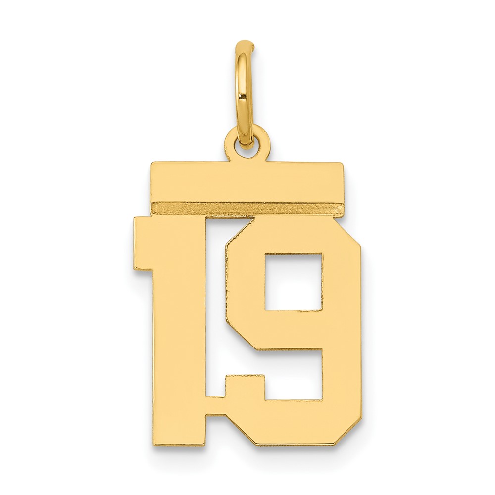 14K Yellow Gold Small Polished Number 19 Charm