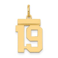 14K Yellow Gold Small Polished Number 19 Charm view 1