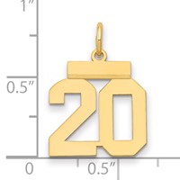 14K Yellow Gold Small Polished Number 20 Charm view 2