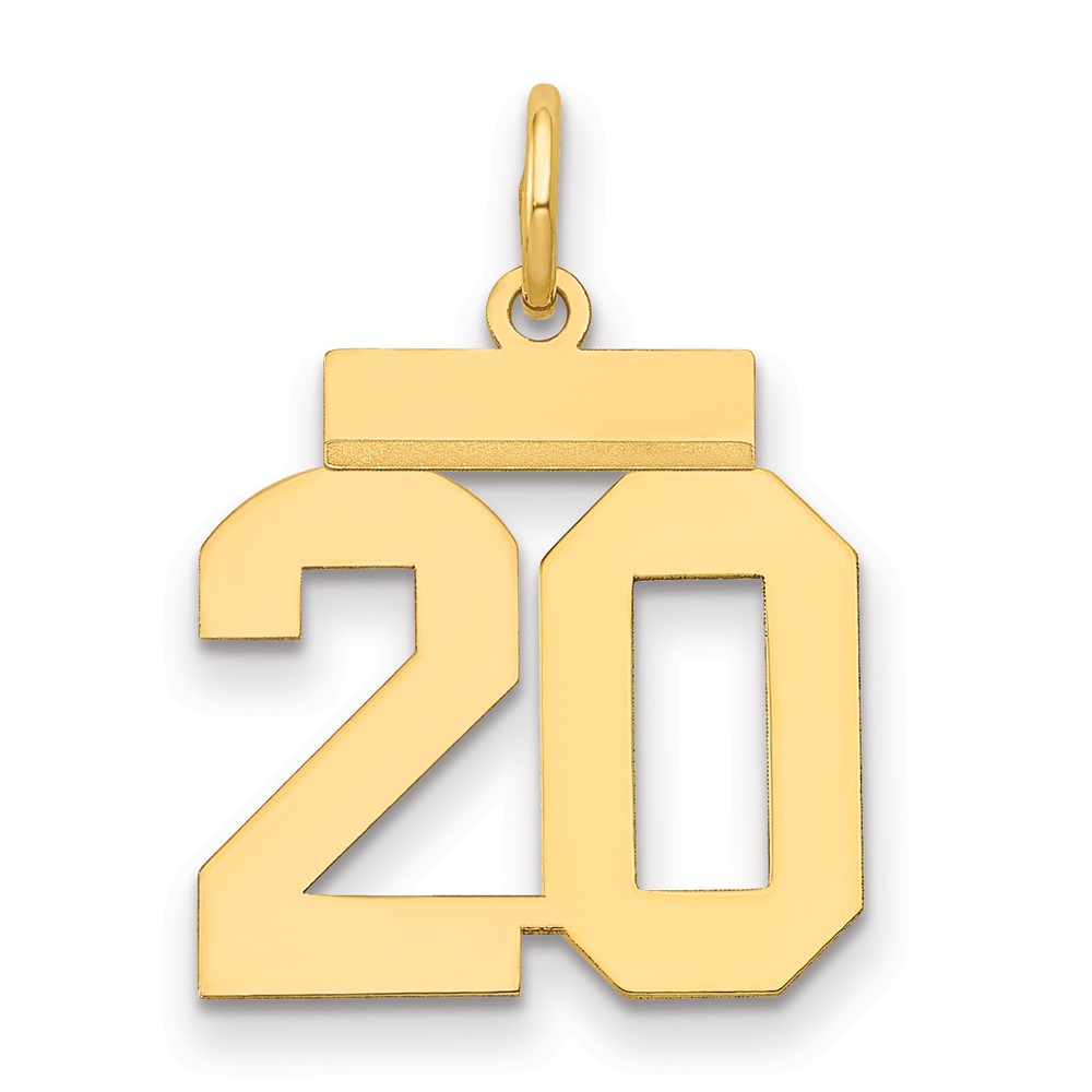 14K Yellow Gold Small Polished Number 20 Charm