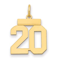 14K Yellow Gold Small Polished Number 20 Charm view 1