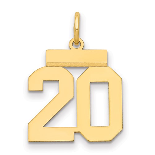 14K Yellow Gold Small Polished Number 20 Charm