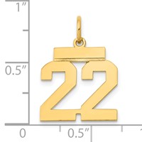 14K Yellow Gold Small Polished Number 22 Charm view 4