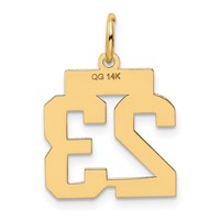 14K Yellow Gold Small Polished Number 23 Charm view 3