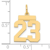 14K Yellow Gold Small Polished Number 23 Charm view 4