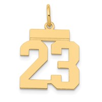 14K Yellow Gold Small Polished Number 23 Charm view 1