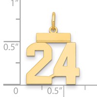 14K Small Polished Number 24 Charm view 2
