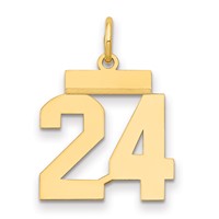 14K Small Polished Number 24 Charm view 1