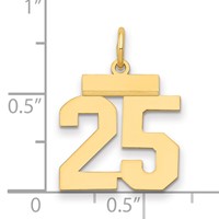 14K Yellow Gold Small Polished Number 25 Charm view 2