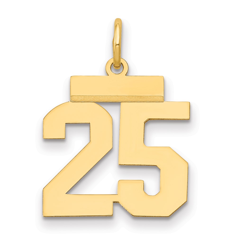 14K Yellow Gold Small Polished Number 25 Charm