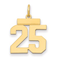 14K Yellow Gold Small Polished Number 25 Charm view 1