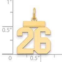 14K Yellow Gold Small Polished Number 26 Charm view 2