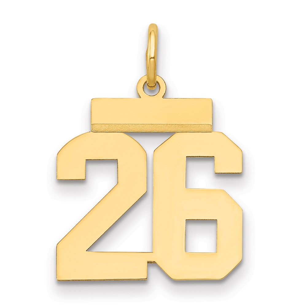 14K Yellow Gold Small Polished Number 26 Charm