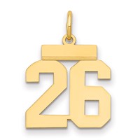 14K Yellow Gold Small Polished Number 26 Charm view 1