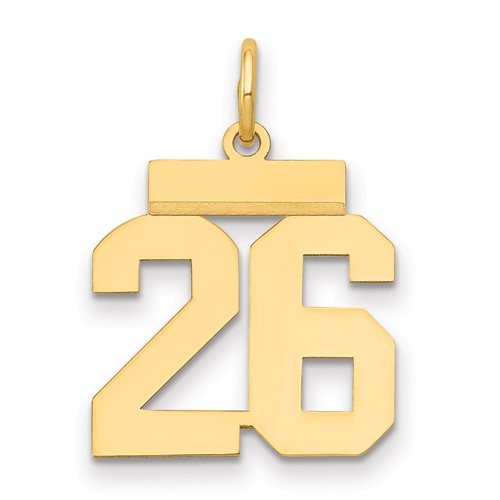 14K Yellow Gold Small Polished Number 26 Charm