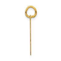 14K Yellow Gold Small Polished Number 28 Charm view 2