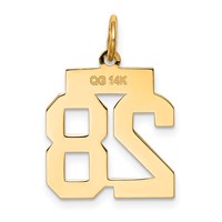 14K Yellow Gold Small Polished Number 28 Charm view 3