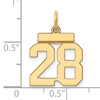 14K Yellow Gold Small Polished Number 28 Charm view 4