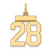 14K Yellow Gold Small Polished Number 28 Charm view 1