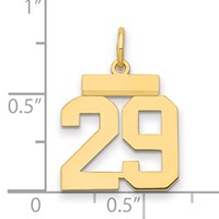 14K Yellow Gold Small Polished Number 29 Charm view 2