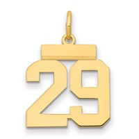 14K Yellow Gold Small Polished Number 29 Charm view 1
